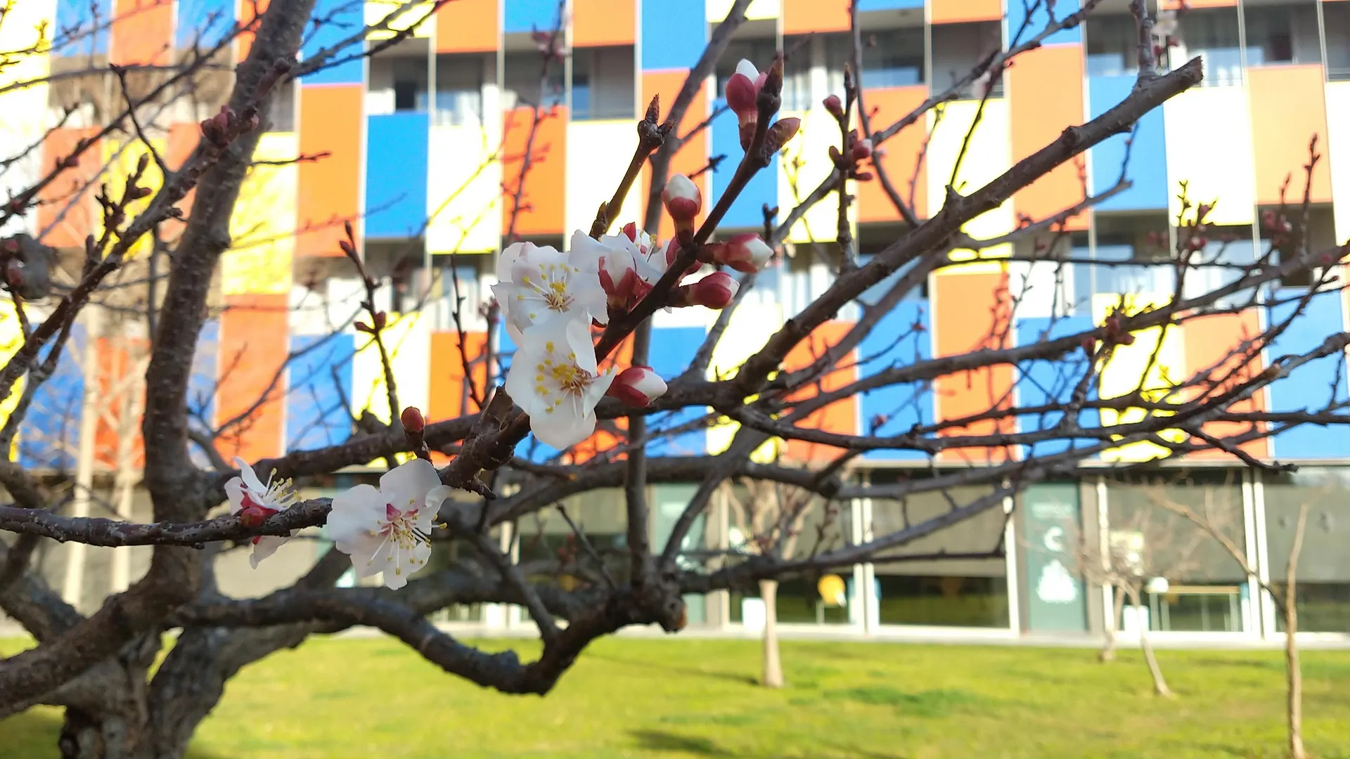 Centre Esplai Albergue El Prat de Llobregat Hostel